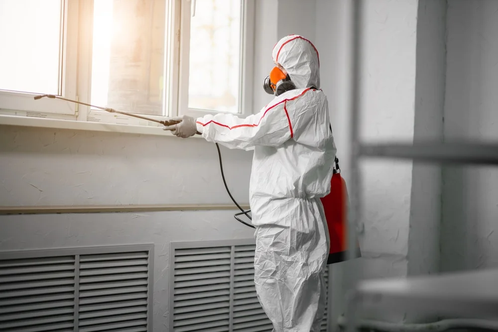 Professional mold remediation services in Grouse Creek, UT